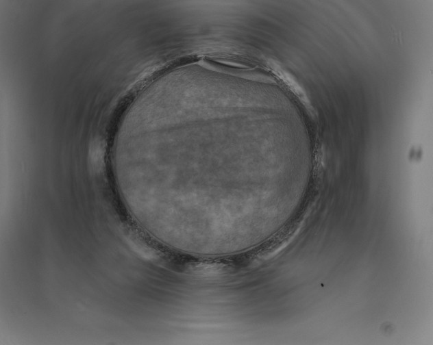 X0000094460209200712061231