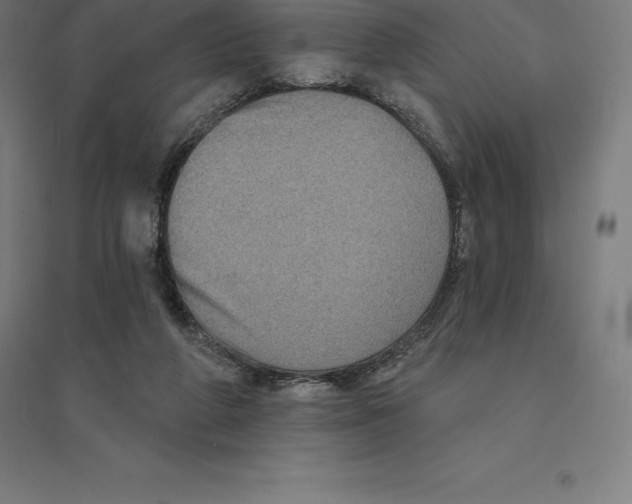 X0000094460210200712061231