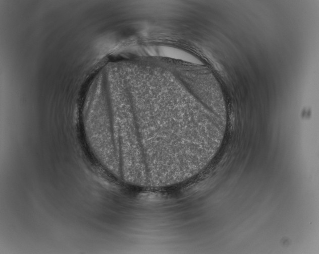 X0000094460211200712061231