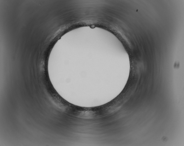 X0000094460212200712061231