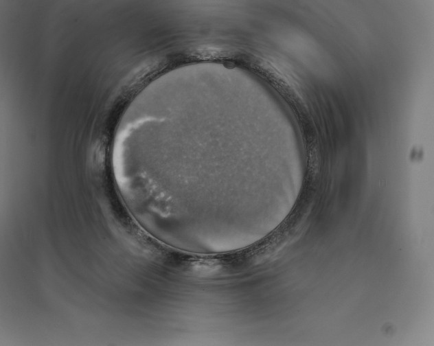 X0000094460214200712061231