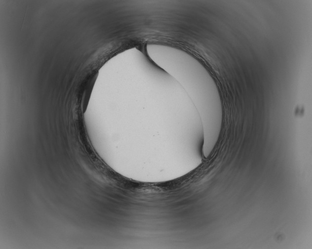 X0000094460215200712061231