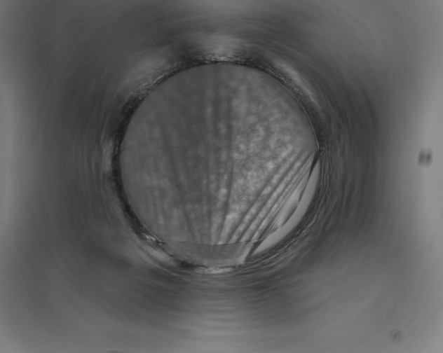 X0000094460217200712061231