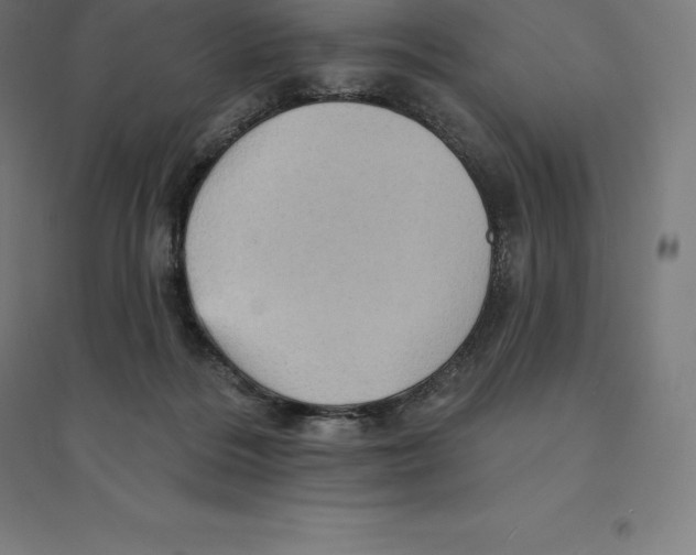 X0000094460220200712061230