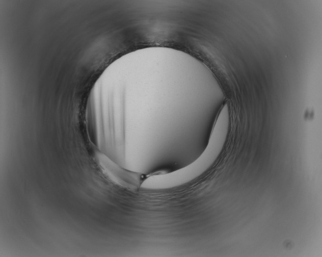 X0000094460221200712061230