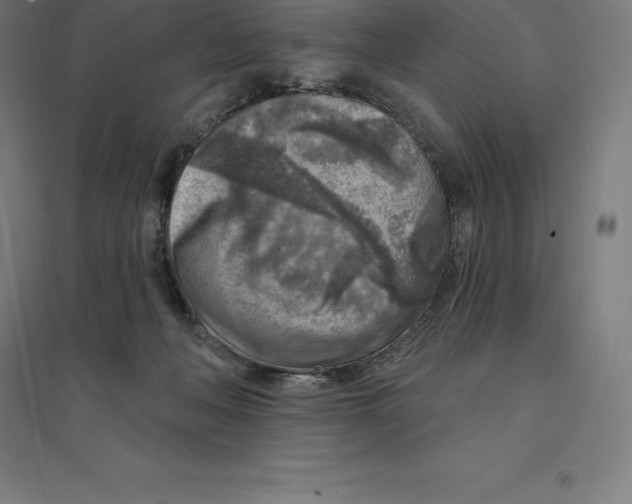 X0000094460222200712061230