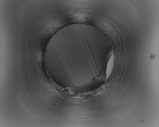 X0000094460223200712061230