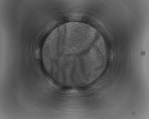 X0000094460224200712061230