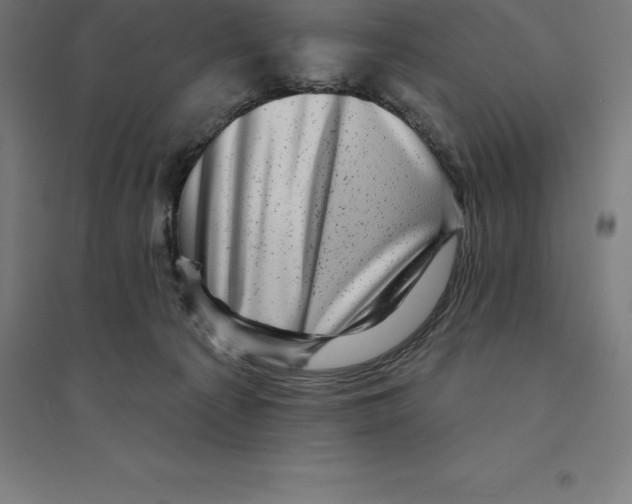 X0000094460225200712061230