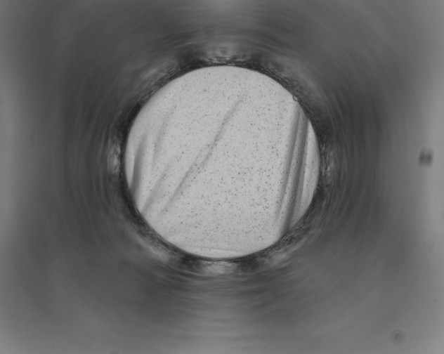 X0000094460226200712061230