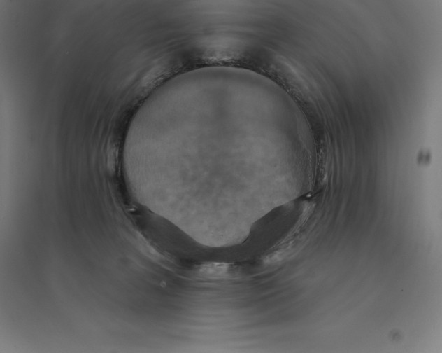 X0000094460227200712061230