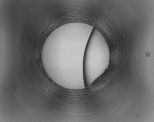 X0000094460229200712061230