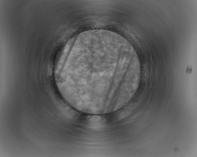 X0000094460230200712061230