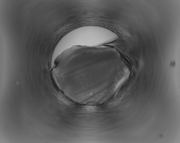 X0000094460233200712061230