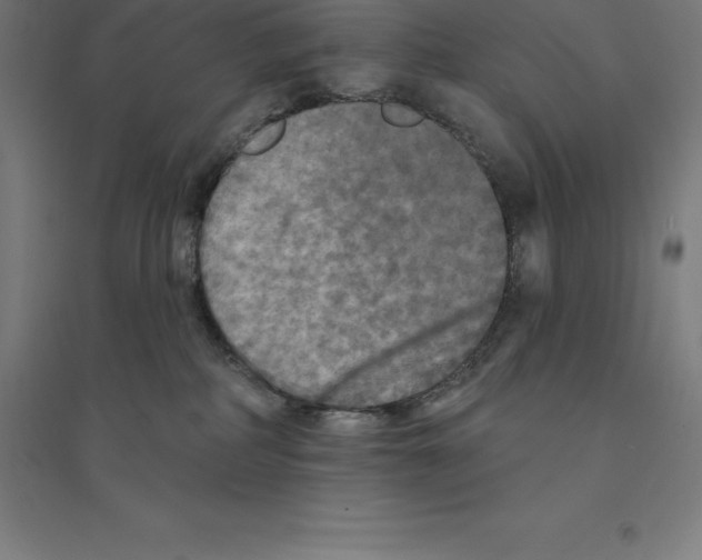 X0000094460234200712061230