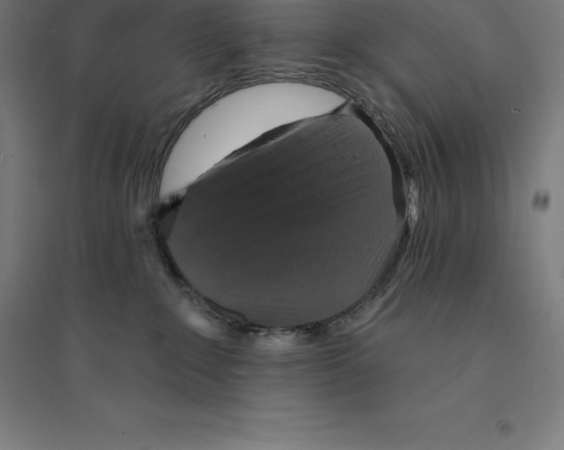 X0000094460235200712061230