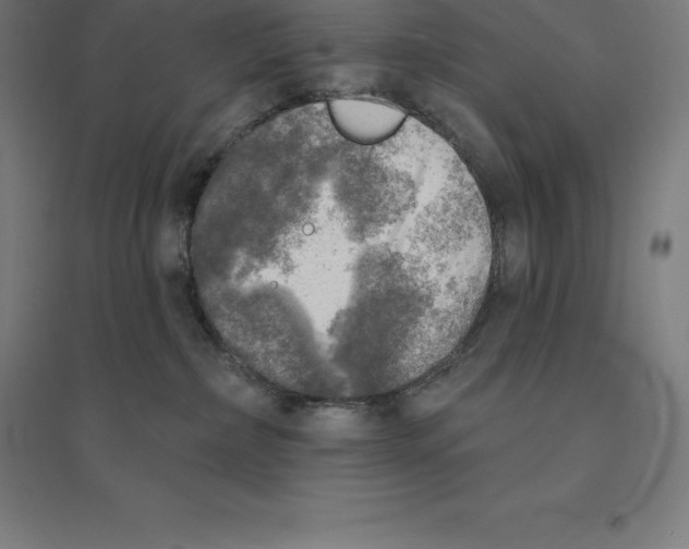 X0000094460236200712061230