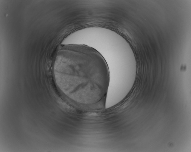 X0000094460237200712061230