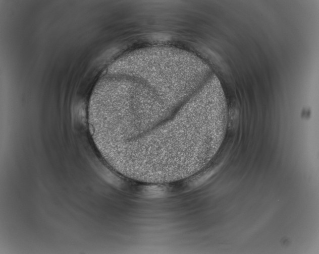 X0000094460238200712061230