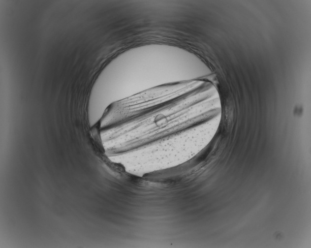 X0000094460239200712061230