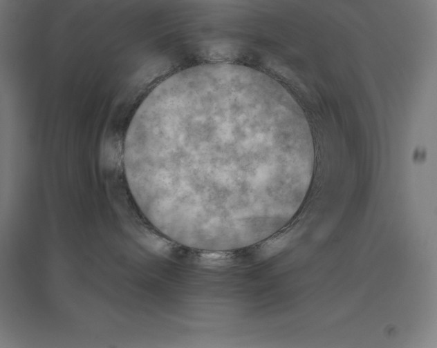 X0000094460240200712061230