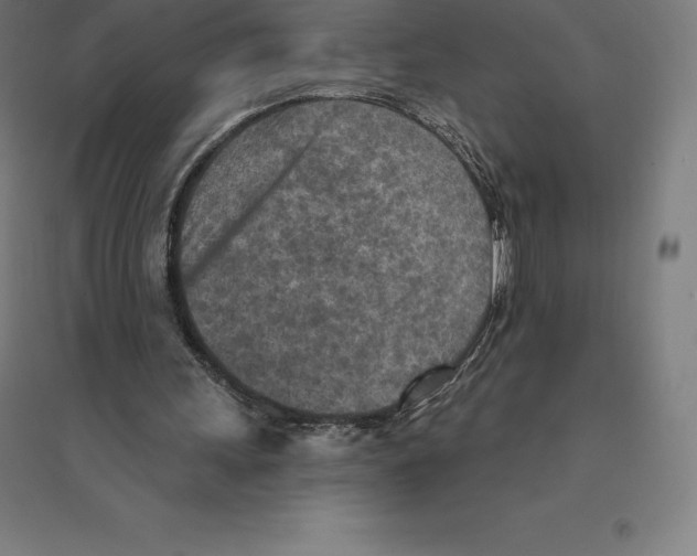 X0000094460243200712061229