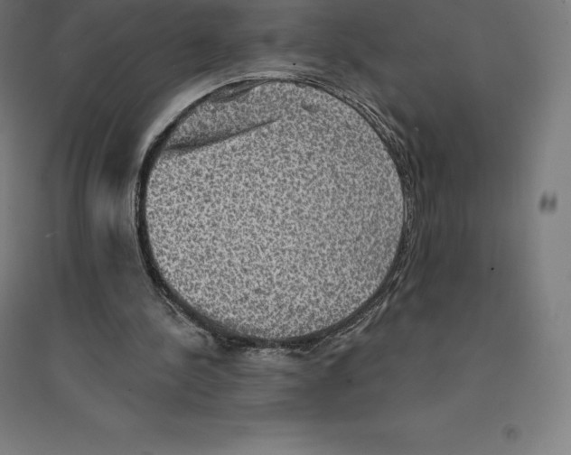 X0000094460244200712061229