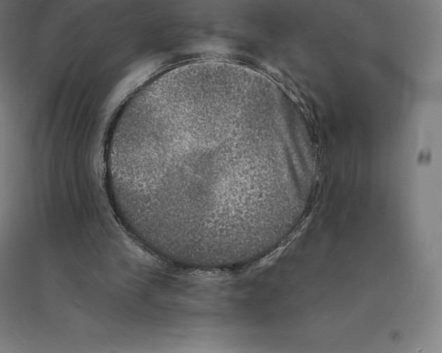 X0000094460245200712061229