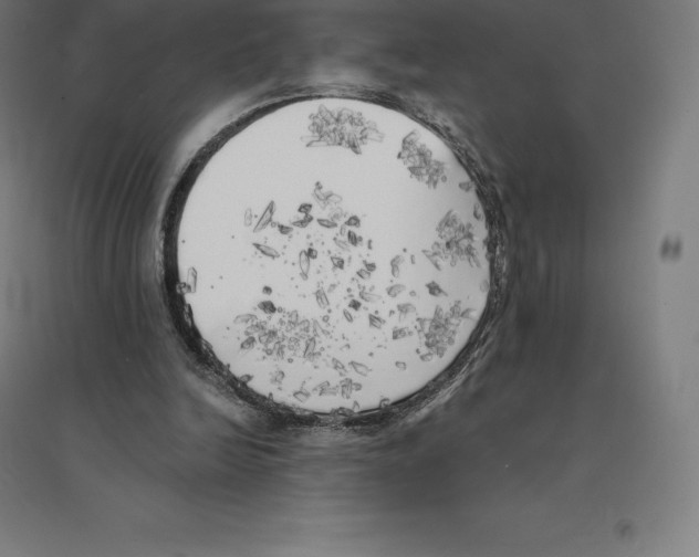 X0000094460246200712061229
