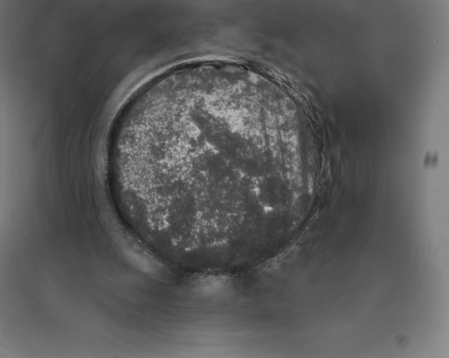 X0000094460247200712061229