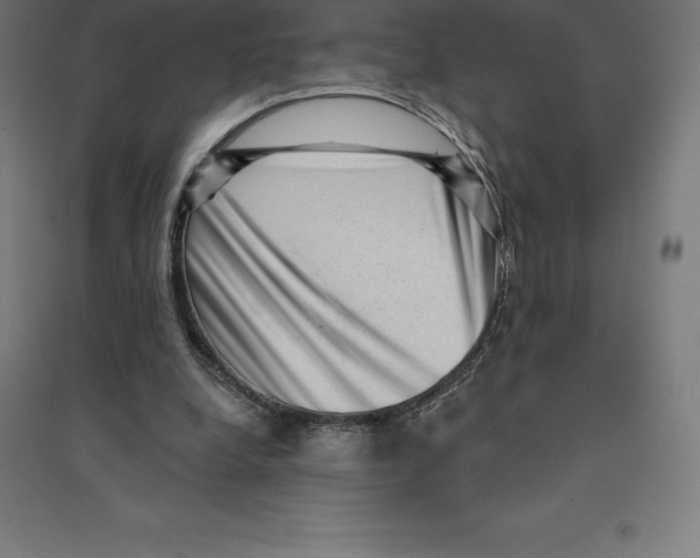 X0000094460248200712061229