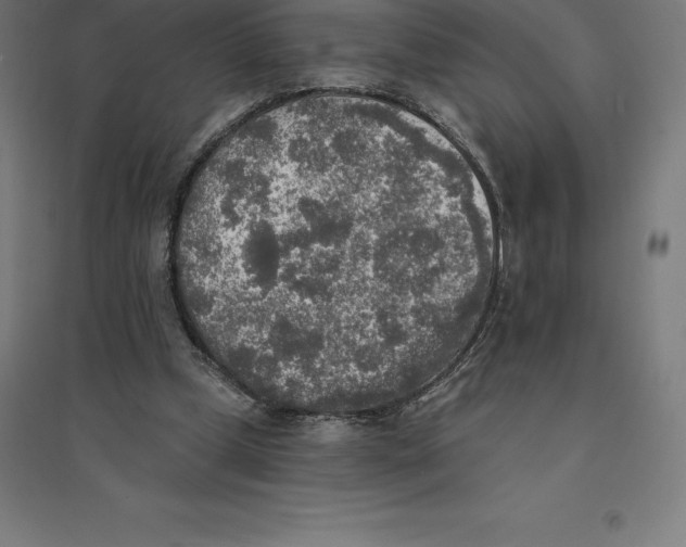 X0000094460249200712061229