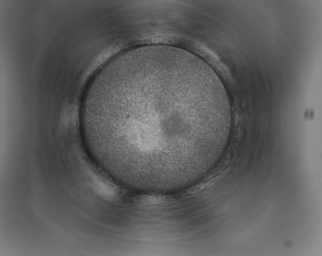 X0000094460250200712061229