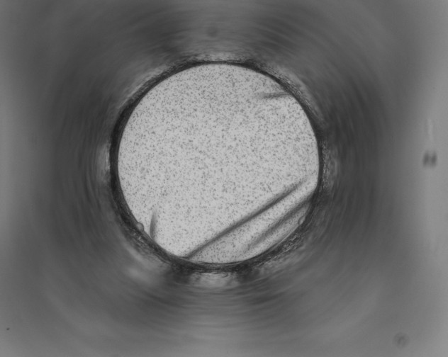 X0000094460251200712061230