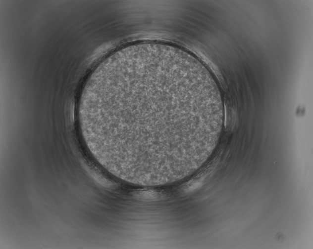 X0000094460253200712061230