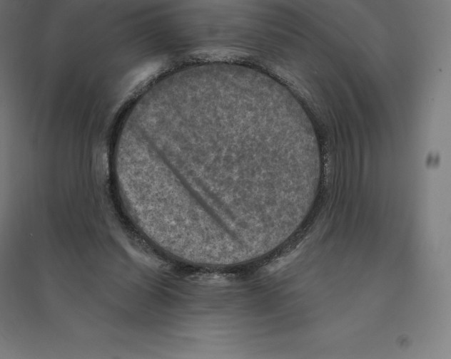 X0000094460254200712061230