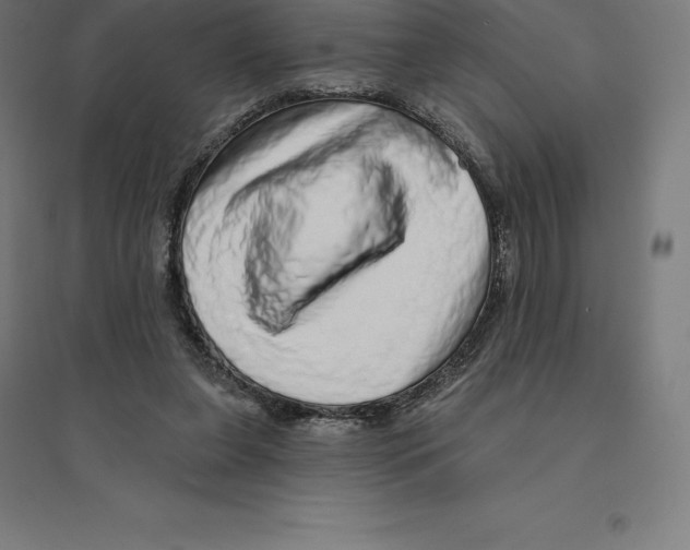 X0000094460255200712061230