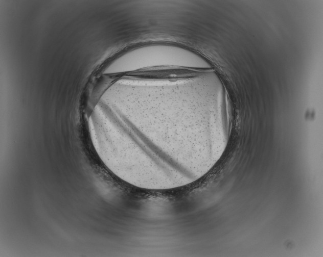 X0000094460256200712061230