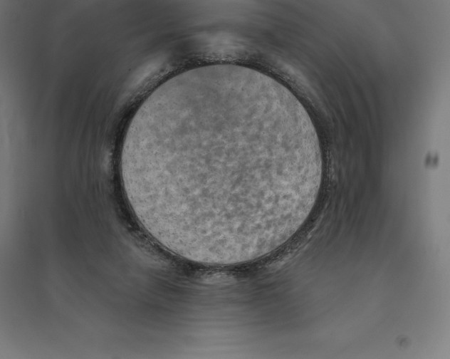 X0000094460258200712061230