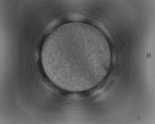 X0000094460259200712061230