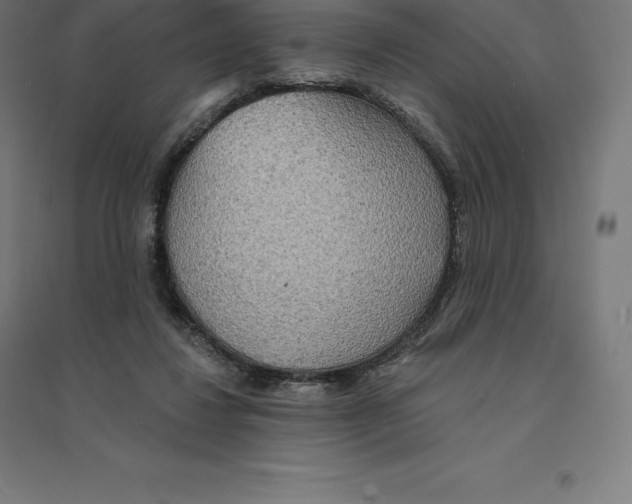 X0000094460260200712061230