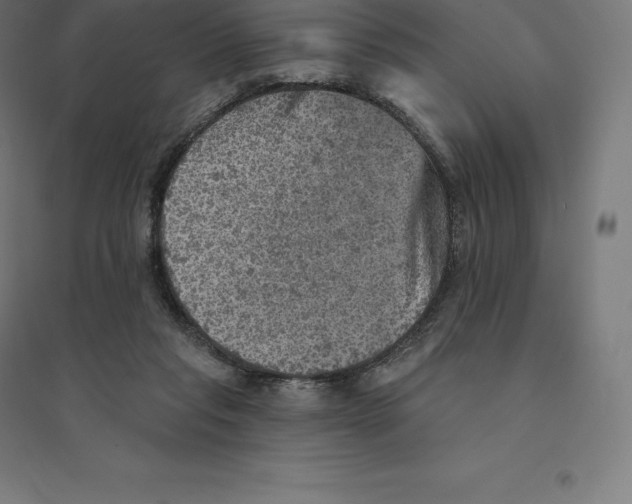 X0000094460261200712061230