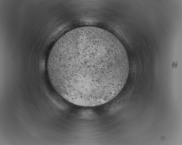X0000094460262200712061230