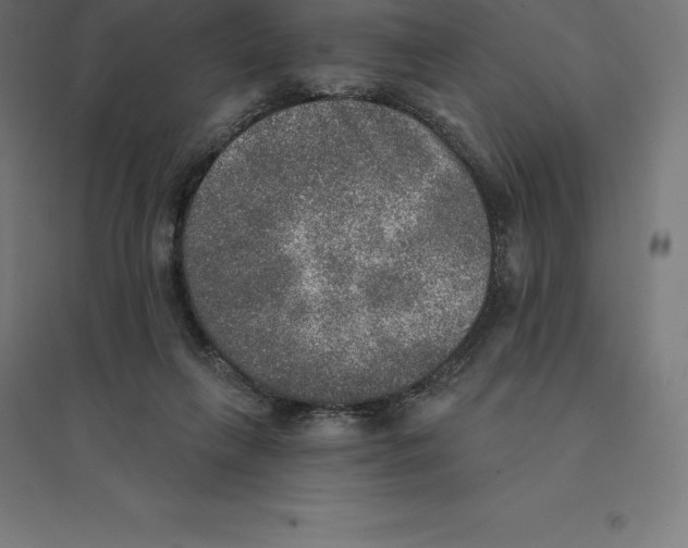 X0000094460263200712061230