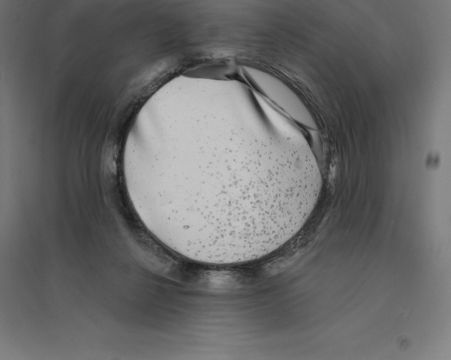 X0000094460264200712061230