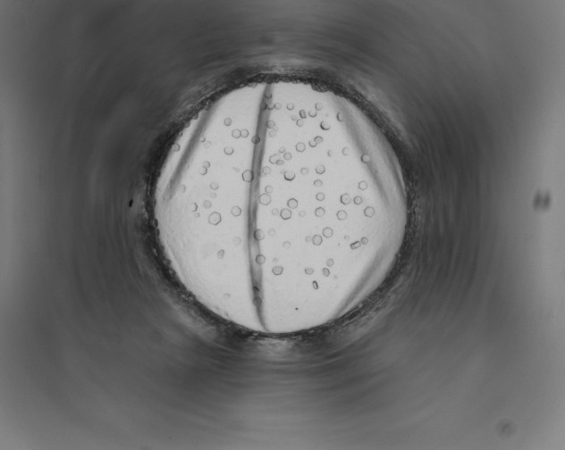 X0000094460265200712061230