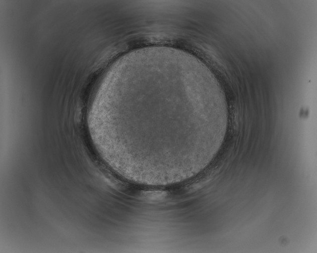 X0000094460266200712061230