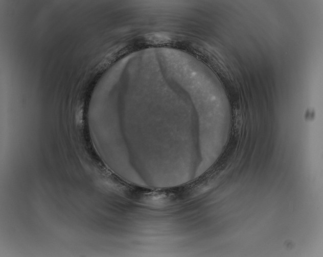 X0000094460267200712061230