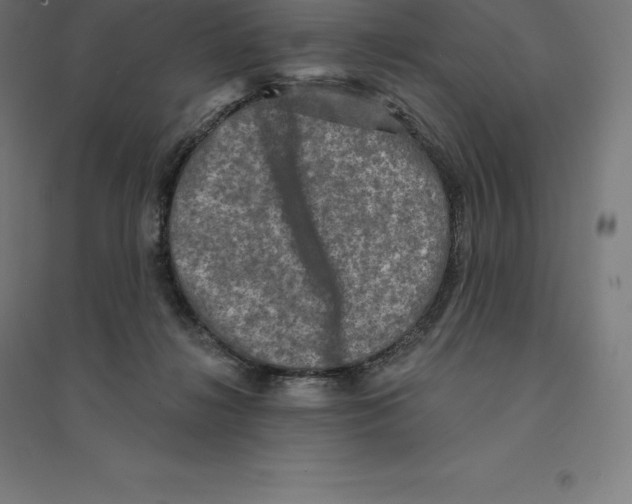 X0000094460268200712061230