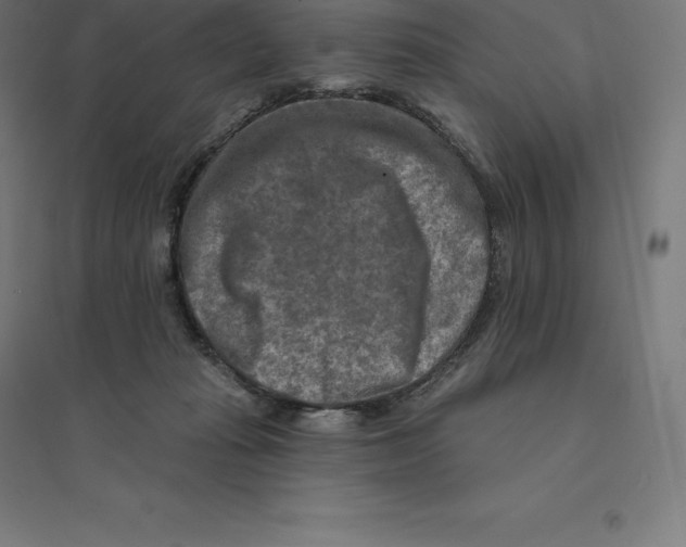 X0000094460269200712061230